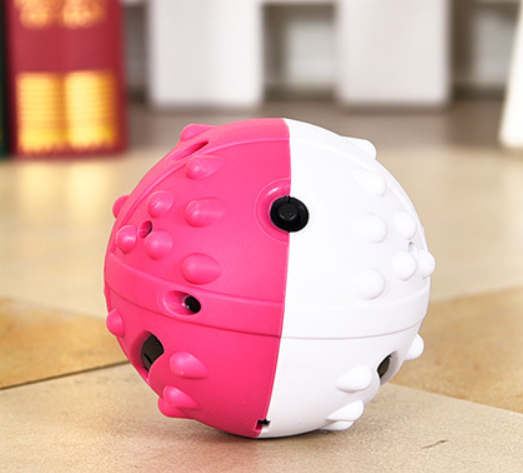 Dog's Leaking Toy
