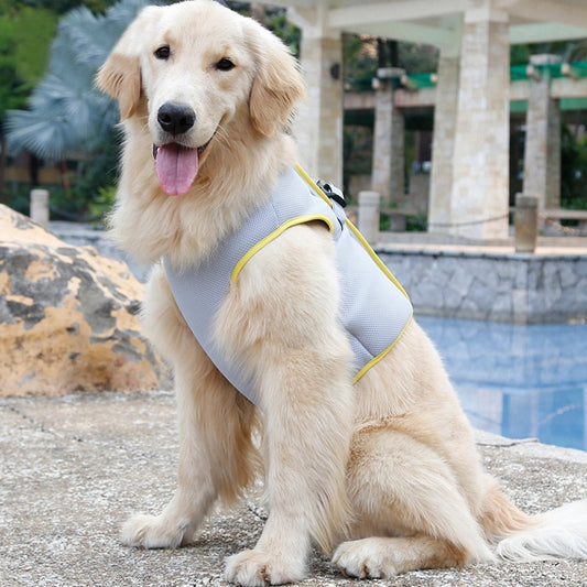 Dog's Cold Chest Strap
