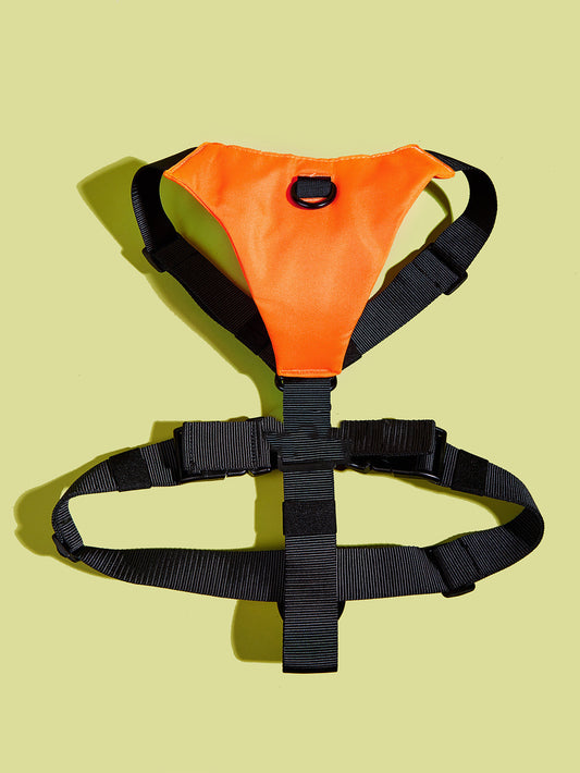 Dog's Chest Harness