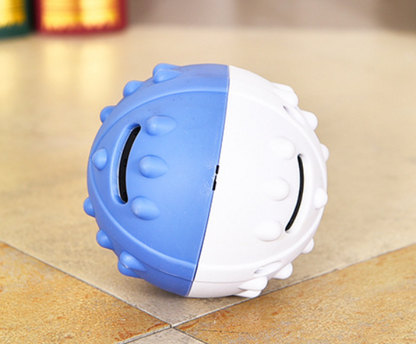 Dog's Leaking Toy