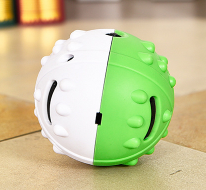 Dog's Leaking Toy