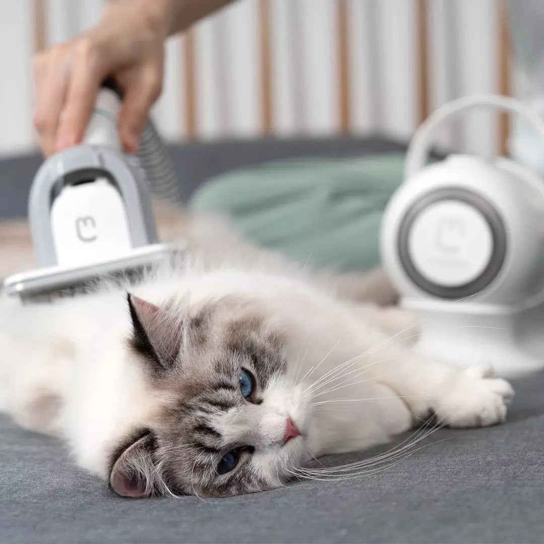 Pet Groomer
