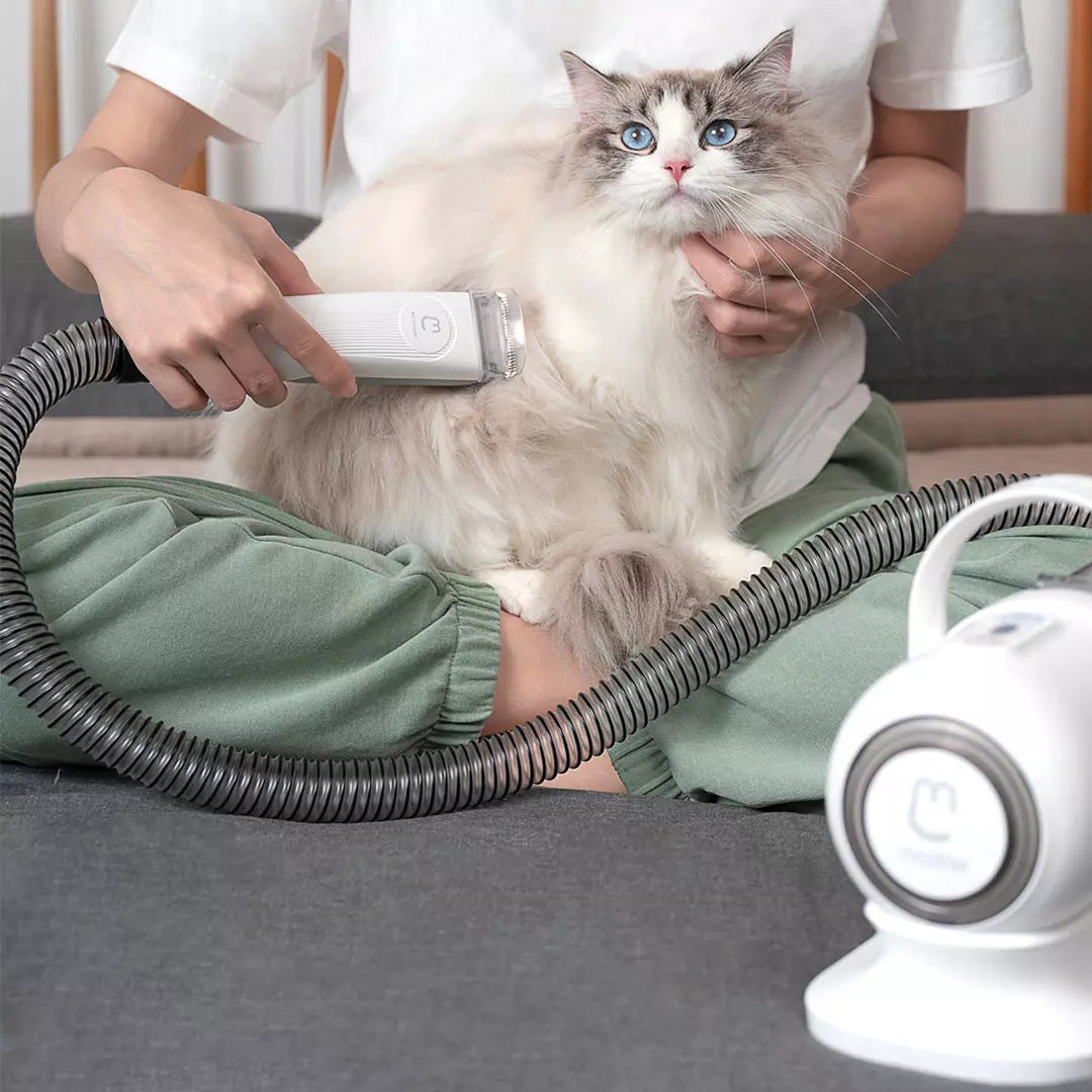 Pet Groomer