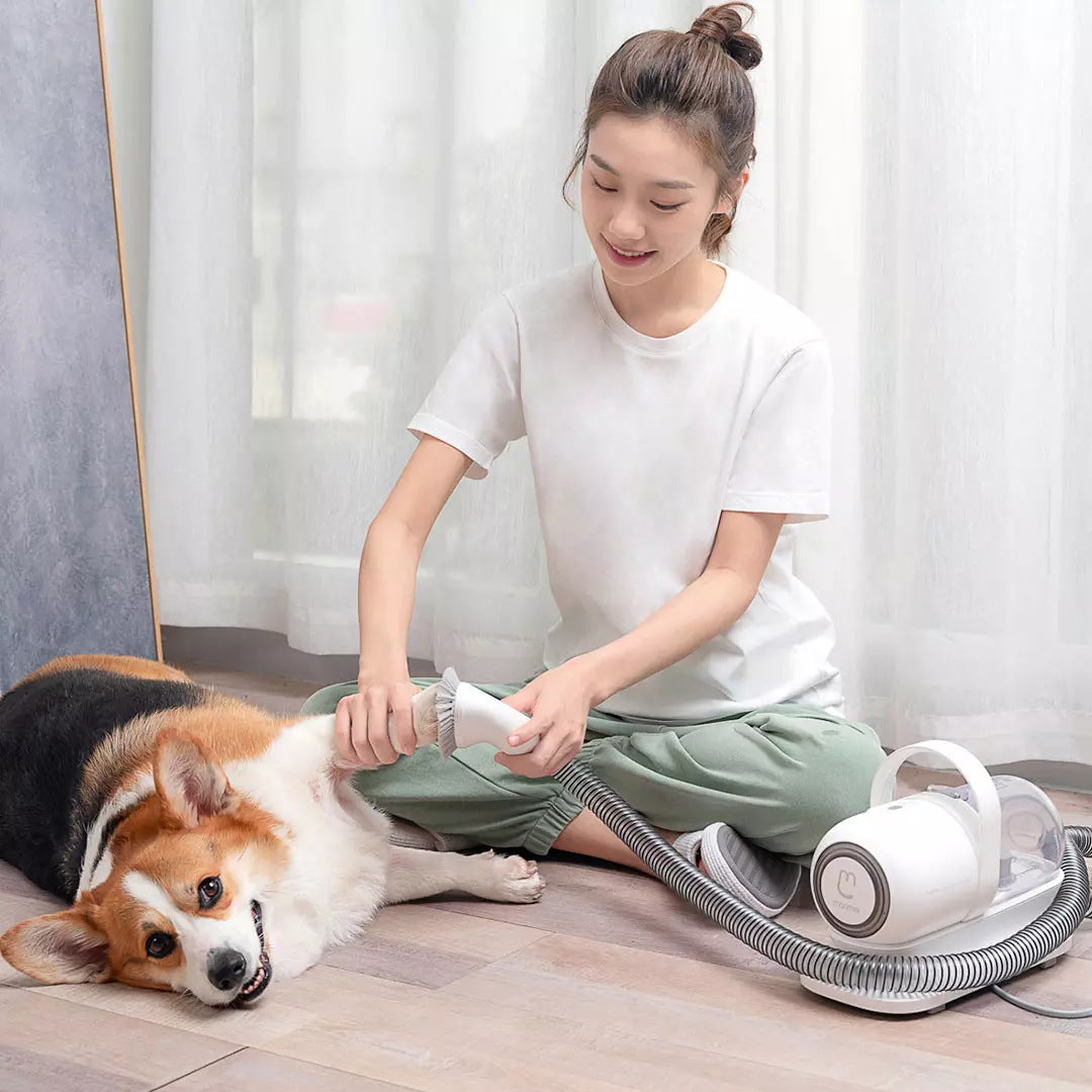 Pet Groomer